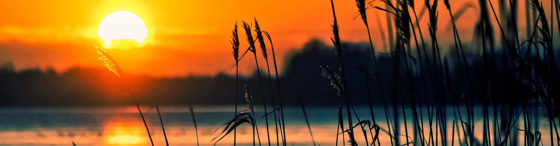 Camping & Cabins on Cayuta Lake